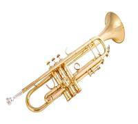 BrassTromba Tromba in Sib Si bemolle in ottone placcato argento Tromba professionale con custodia in pelle(Color:Gold)