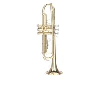 BrassTromba Tromba in Sib Si di alta qualità con fondo piatto resistente tromba in ottone con bocchino placcato in argento bellissima custodia morbida(Color:Silver)
