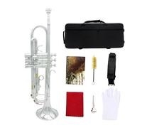BrassTromba Tromba professionale in Sib Si Strumento in ottone a fondo piatto Tromba a 2 colori con custodia e accessori per strumenti con bocchino(Color:Silver)