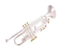 BrassTromba Tromba standard per studenti Tromba professionale Si bemolle strumento musicale in ottone placcato argento con custodia in pelle(Color:Brass)