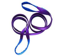 Braun 10022HB Cinghia per sollevamento, carico massimo 1000 kg, con occhhielli finali rinforzati, lunghezza 2 m, colore: Viola