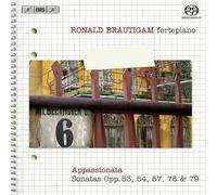 Brautigam Complete Works for Solo Piano Vol. 6 (Brautigam) (CD)