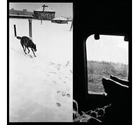 Braveyoung - We Are Lonely Animals