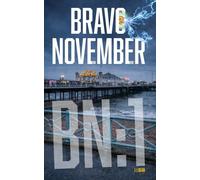BRAVO NOVEMBER: Justice doesn't always arrive on time. Sometimes it has to go back.