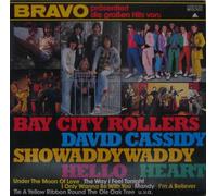 Bravo präsentiert die grossen Hits von (1978) - Bay City Rollers, David Cassidy, Hello, Heart, Dawn.. / Vinyl record [Vinyl-LP]