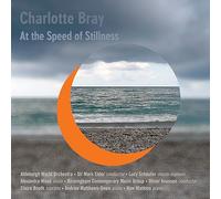 Bray/ Elder/ Schaufer/ Wood - At The Speed Of Stillness