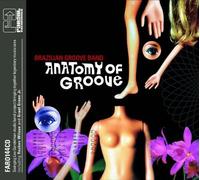 Brazilian Groove Ban - Anatomy Of Groove