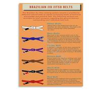 Brazilian Jiu-Jitsu BJJ Belt Ranking Order System Guide Educational Chart Poster Grappling Training Wall Art Home Decor(Framed,08x12inch(20x30cm))