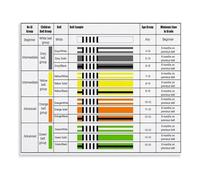 Brazilian Jiu Jitsu Kids Belt Rank Chart Poster White Grey Yellow Belt Training Guide Educational Canvas Painting for Bedroom Martial Arts Studio(Unframed,08x12inch(20x30cm))