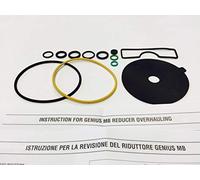 BRC GPL Vaporizzatore Riparazione Set Genius MB