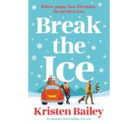 Break the Ice: An opposites attract holiday rom-com