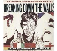 BREAKING DOWN THE WALLS 12" SINGLE UK WEA 1988