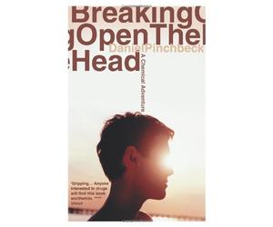Breaking Open the Head by Daniel Pinchbeck (2010-04-02)