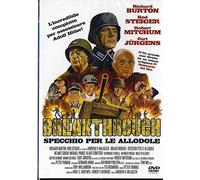 Breakthrough - Specchio Per Le Allodole