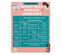 Breast Milk Handling and Storage Educational Poster Lactation Wall Art Canvas for Midwife Gift New Mom Decor(Unframed,12x18inch(30x45cm))