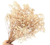 Breath del Bambino Essiccato Fiori Mazzo Naturale Fiori Essiccati Respiro del Bambino Real Gypsophila Branches per la Tavola di Nozze Vaso Partito Giardino DIY Corona floreale Home Decor (White)