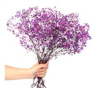 Breath del Bambino Essiccato Fiori Mazzo Naturale Fiori Essiccati Respiro del Bambino Real Gypsophila Branches per la Tavola di Nozze Vaso Partito Giardino DIY Corona floreale Home Decor (Purple)