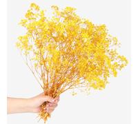 Breath del Bambino Essiccato Fiori Mazzo Naturale Fiori Essiccati Respiro del Bambino Real Gypsophila Branches per la Tavola di Nozze Vaso Partito Giardino DIY Corona floreale Home Decor (Yellow)
