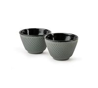 Bredemeijer Tazza da tè smaltata in ghisa, 2 pezzi, piccola tazza in ghisa verde chiaro con capacità di 100 ml