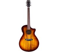 Breedlove Pursuit Ex. S Drdn Conc CE TE