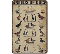Breeds Of Duck Targa in latta, arte da parete, Knowledge, cartello in metallo retrò stampa poster scuola fattoria caffetteria bar camera da letto bagno cucina giardino decorazione artistica per la
