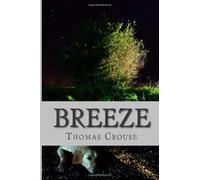 Breeze: A Swift Glance at Fleeting Intelligence