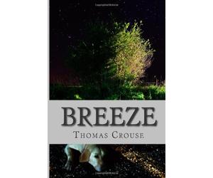Breeze: A Swift Glance at Fleeting Intelligence