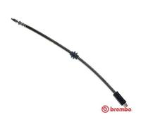 BREMBO Flessibile Del Freno Tubo Anteriore SX Destra per Fiat Scudo Combinato