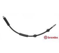 BREMBO T 06 030 Flessibile del freno per BMW