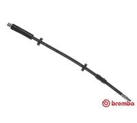 BREMBO T 11 018 Flessibile del freno per CITROËN,FIAT,PEUGEOT