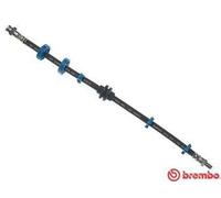 BREMBO T 23 015 Tubo freno per FIAT COUPE (FA/175) BRAVO I (182) BRAVA (182)