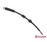 Brembo T 23 181 - Tubo Freno - Anteriore