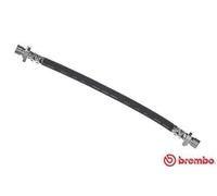 Brembo T 28 037 - Brake Hose - Rear