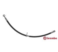 Tubo flessibile freno T 28 089 BREMBO per HONDA ACCORD VII Tourer ACCORD VII