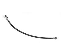 Brembo T 56 155 - Brake Hose - Rear