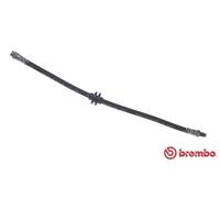 Brembo T 68 088 - Tubo Freno - Anteriore