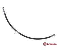 BREMBO Flessibile del freno per SUZUKI T 79 042