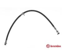 BREMBO T 83 099 Flessibile del freno per TOYOTA