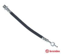 Tubo flessibile freno T 83 117 BREMBO per TOYOTA COROLLA COROLLA Tre volumi