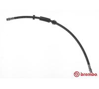BREMBO T 85 129 Flessibile del freno per AUDI,PORSCHE,VW