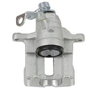 Bremssattel Posteriore Sinistro Per Renault Opel Trafic III Kasten FG FG FL JL