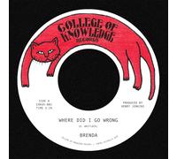 Brenda Where Did I Go Wrong B/W Family (Vinyl LP)