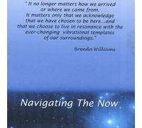Brenda Williams - Navigating the Now-the Experie