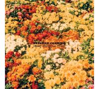 Brendan Canning Home Wrecking Years (CD) Album