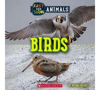 Brenna Maloney Birds (Wild World: Fast and Slow Animals) (Tascabile) Wild World
