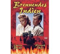 Brennendes Indien
