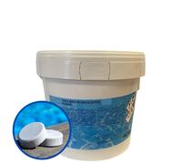 Brenntag CLORO 90% IN PASTIGLIE 200 gr TRICLORO LENTO IGIENE PER ACQUA PISCINA