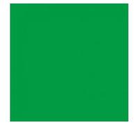 Bresser BG-6X6-CK telo di fondo 6,0x6,0 metri verde cromakey