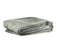 Bresser BR-5118 Panno 3x6m Grigio chiaro Classico