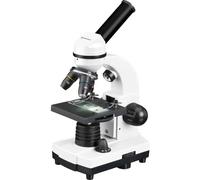 Bresser Optik 8855610GYE000 Biolux SEL Microscopio per bambini Monoculare 1600
